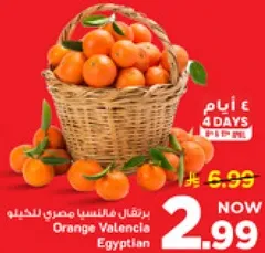 Orange Valencia Egyptian