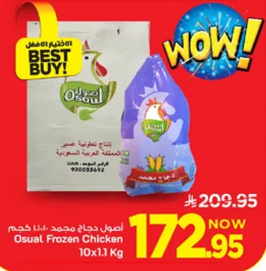 اصول دجاج مجمد 10×1.1 كجم