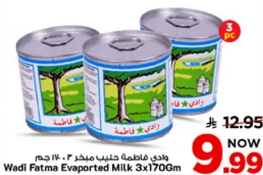 وادي فاطمه حليب مبخر 3 × 170 جرام