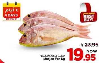 سمك مرجان للكيلو