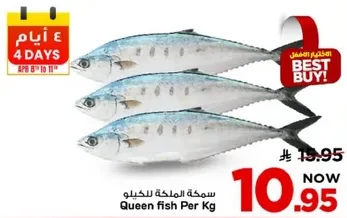 سمكه المليحه للكيلو