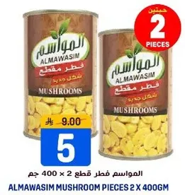المواسم فطر مقطع 2 × 400 جرام