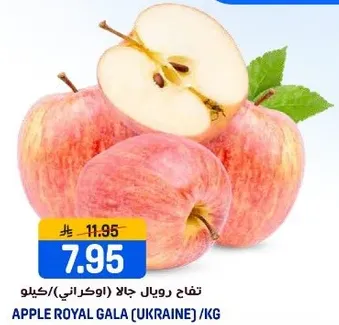 تفاح رويال جالا (اوكراني) / كيلو