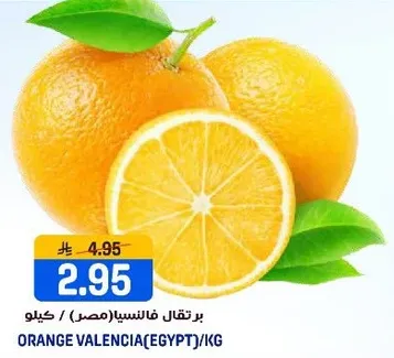 برتقال فانسيا (مصر) / كيلو