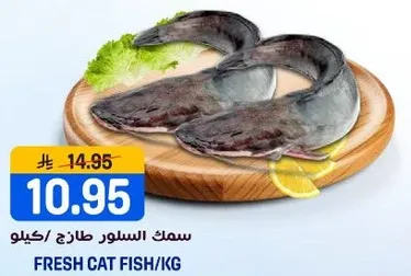 سمك السلور طازج/كيلو