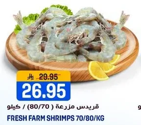 جمبري مزرعه طازجه 70/80 كجم