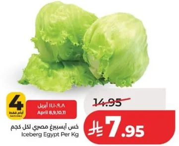 خس ايسبرغ مصري لكل كجم.