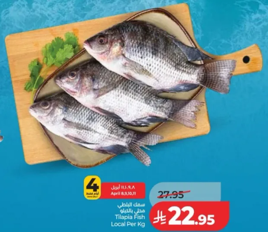 سمك البلطي محلي