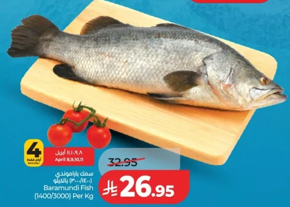 سمك الباراموندي (1400/3000) لكل كيلو