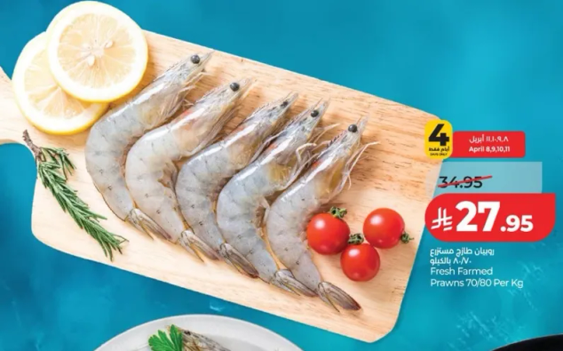 جمبري مزرعه طازجه 70/80 لكل كجم