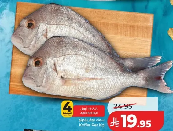 سمك كوفر بالكيلو.