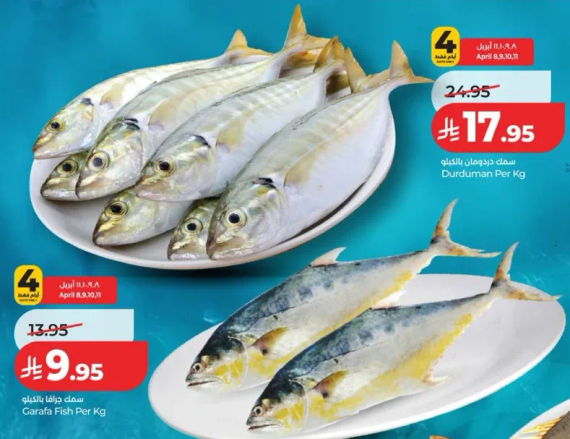 سمك دورمان بالكيلو