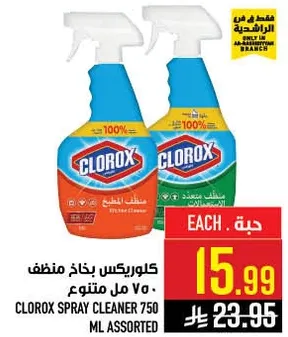 كلوركس بخاخ منظف 750 مل متنوع