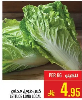 خس طويل محلي