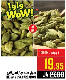 هيل هندي / امريكي