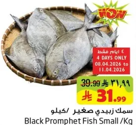 سمك زبيدي صغير/كيلو