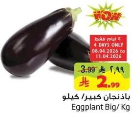 Eggplant Big / Kg