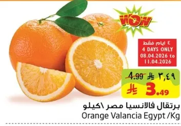 برتقال فالنسيا مصر كيلو