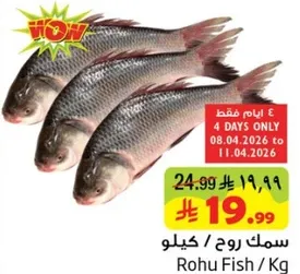 سمك روحي / كيلو