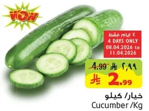 Cucumber
