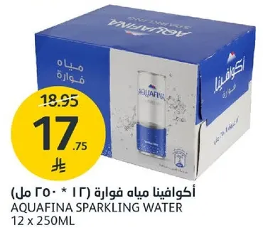 اكوافينا مياه فوار 12 * 250 مل
