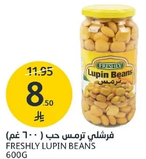 فRESHLY ترمس حب 600 غم