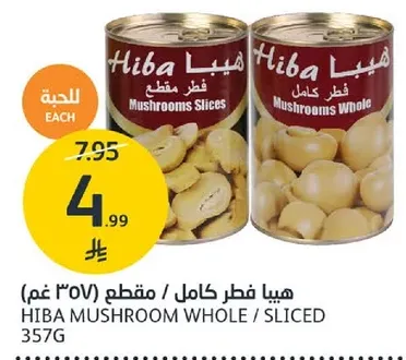 Hiba Mushroom Whole / Sliced