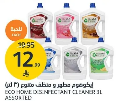 ايكوهوم مطهر و منظف متنوع (3 لتر)