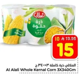 ذره كامله 3×340جم