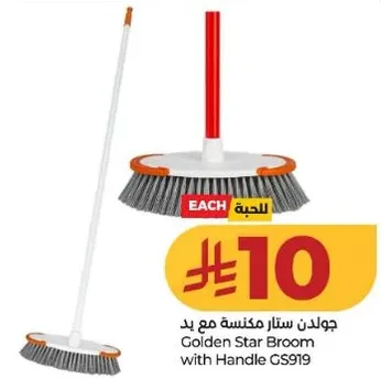 Golden Star Broom with Handle GS919