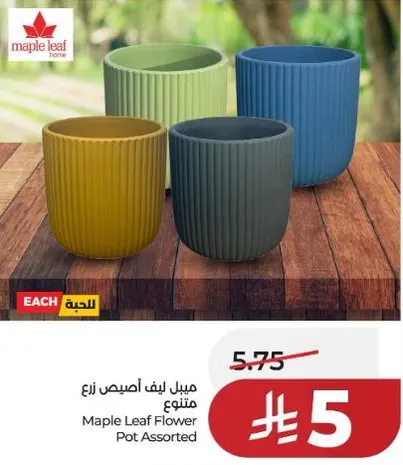 ميل ليف اصيص زرع متنوع