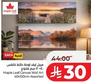 ميبل ليف لوحه حايط كانفس 40×120 سم متنوع