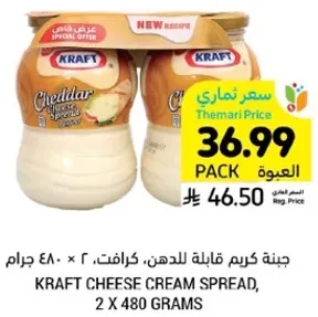 Kraft Cheese Cream Spread, 2 x 480 grams