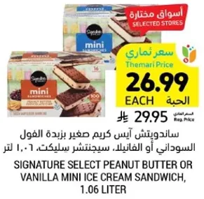 ساندويتش ايس كريم صغير بزبده الفول السوداني او فانيلا، 1.06 لتر