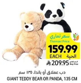 دب عملاق او باندا، 135 سم