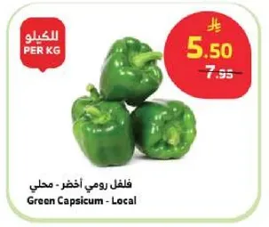 فلفل رومي اخضر - محلي