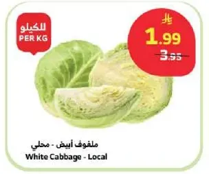 ملفوف ابيض - محلي