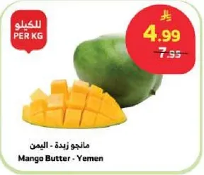 Mango Butter - Yemen