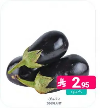 باذنجان