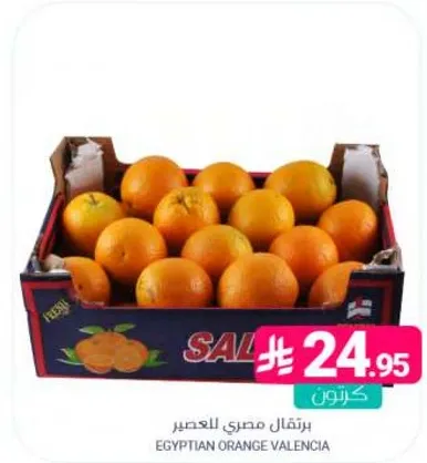برتقال مصري للعصير.