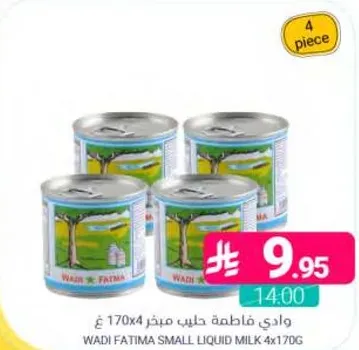 وادي فاطمه حليب سايل صغير 4x170 غ