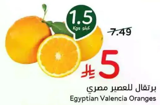 Egyptian Valencia Oranges