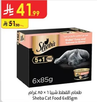 طعام القطط شيبا 1 × 85 غرام