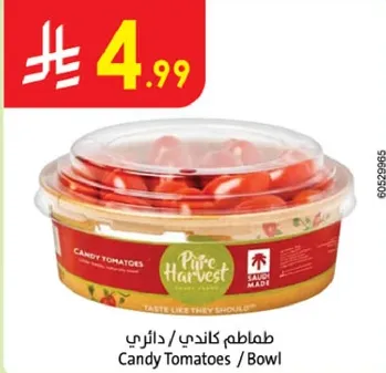 طماطم كندي / دايريه