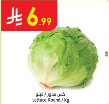 Lettuce Round / Kg