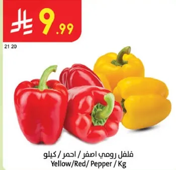 فلفل رومي اصفر / احمر / كيلو