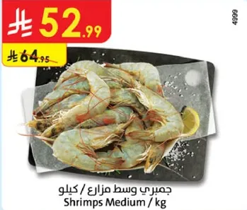 جمبري وسط مزارع / كيلو