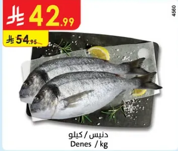سمك دينيس لكل كيلو.