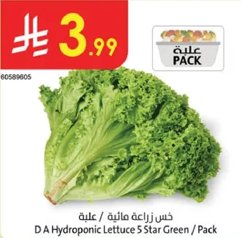 خس زراعه ماييه / علبه