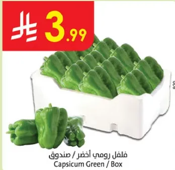 فلفل رومي اخضر / صندوق